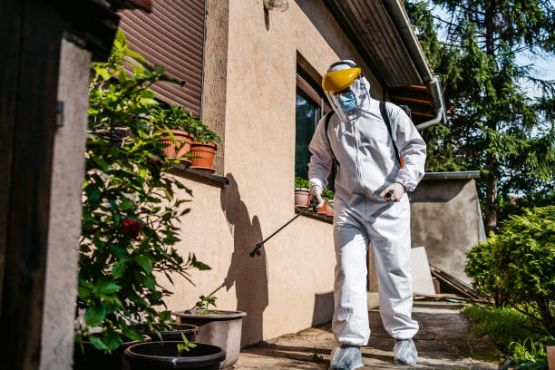 Best Emergency Pest Control  in Mascotte, FL