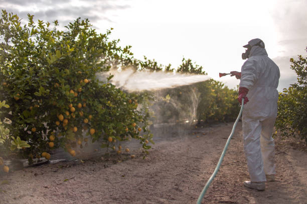 Best Best Pest Control Companies  in Mascotte, FL