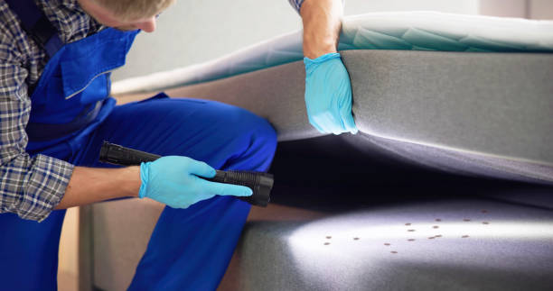 Best Affordable Pest Control Services  in Mascotte, FL