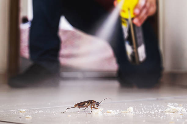 Best Wasp Removal Services  in Mascotte, FL